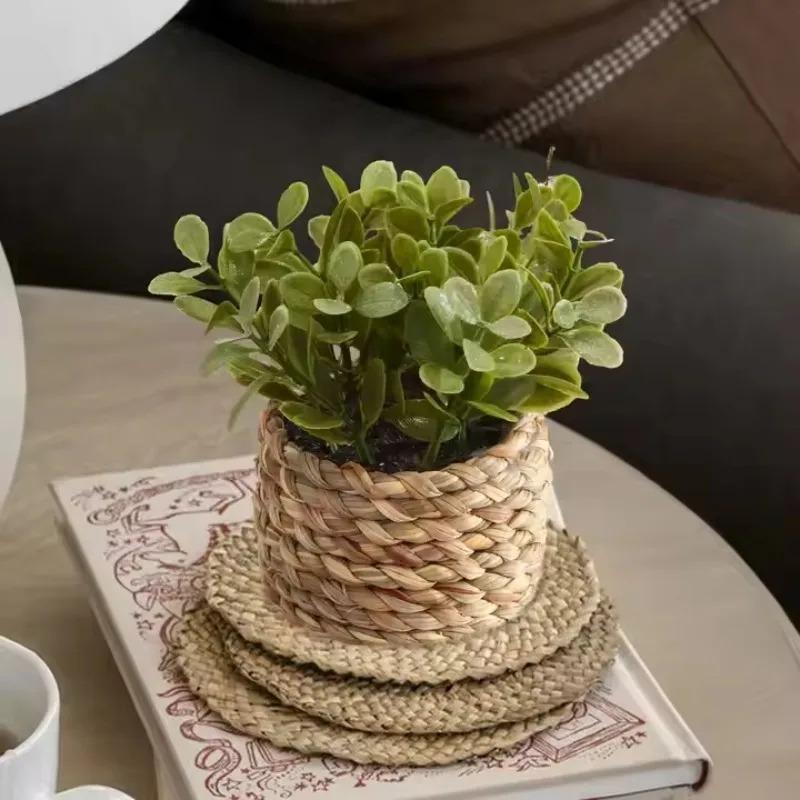 1Pc Potted Plant Small Fake Pl - Badminton Live 리뷰 및 가격