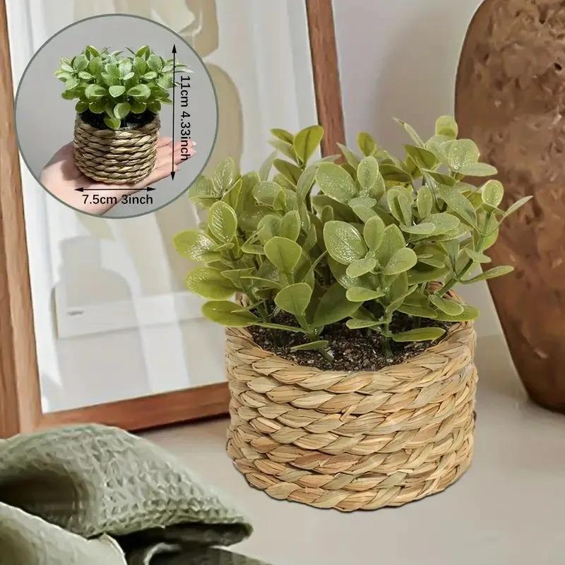 1Pc Potted Plant Small Fake Pl - Badminton Live 리뷰 및 가격