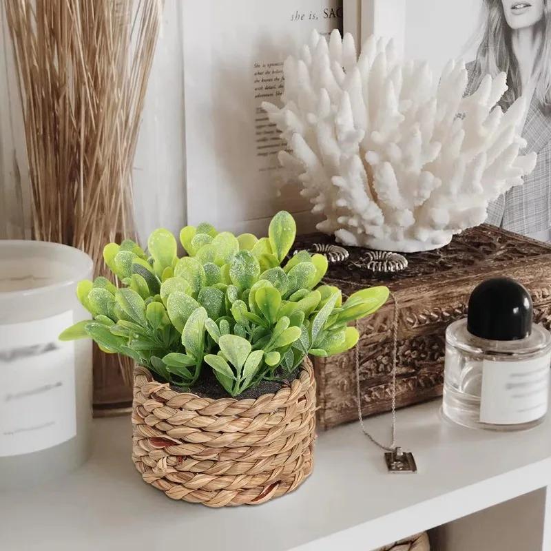 1Pc Potted Plant Small Fake Pl - Badminton Live 리뷰 및 가격